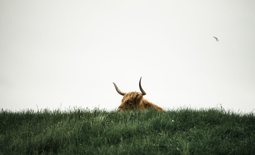 Ready For The Bitcoin Bull Run To Resume? Right here’s The Indicator To Watch For