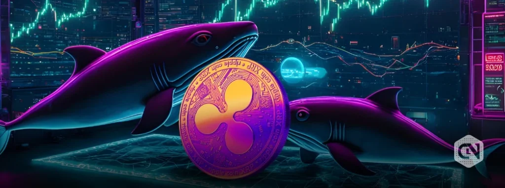 Ripple Whales Go On Accumulation Spree: Can XRP Surge?