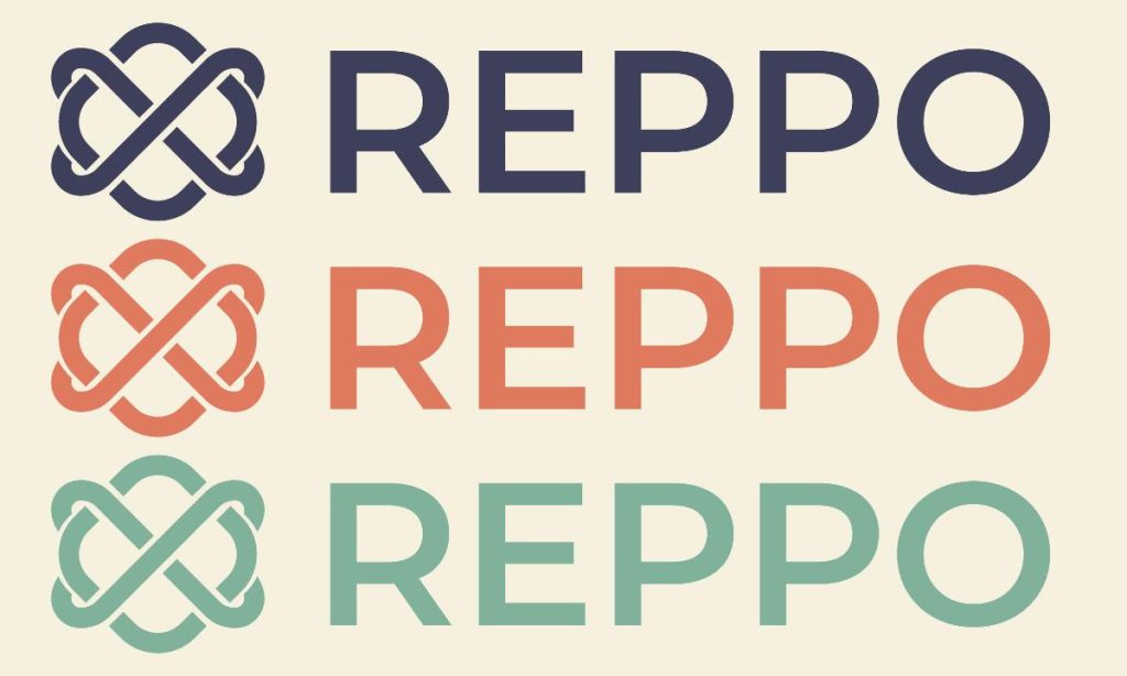 Reppo Labs Secures $2.2M In Funding To Revolutionize Collaboration Between Information House owners And AI Brokers