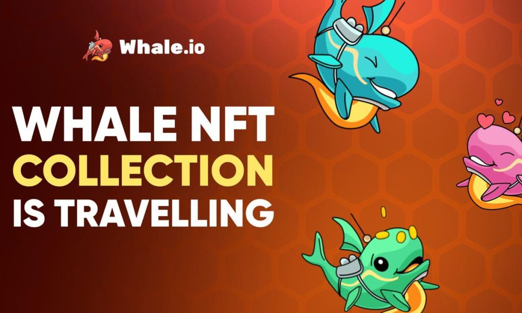 Whale.io To Bridge NFT Assortment From TON Blockchain To Solana