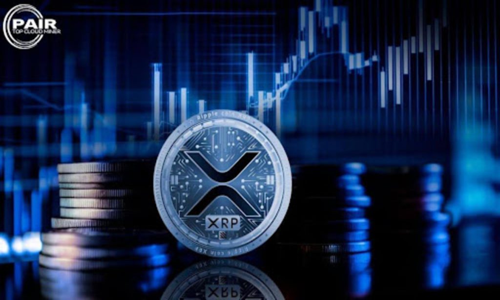 The Greatest Free XRP And DOGE Cloud Mining Platform In 2025 — PAIR Miner Helps You Simply Earn $10,000!