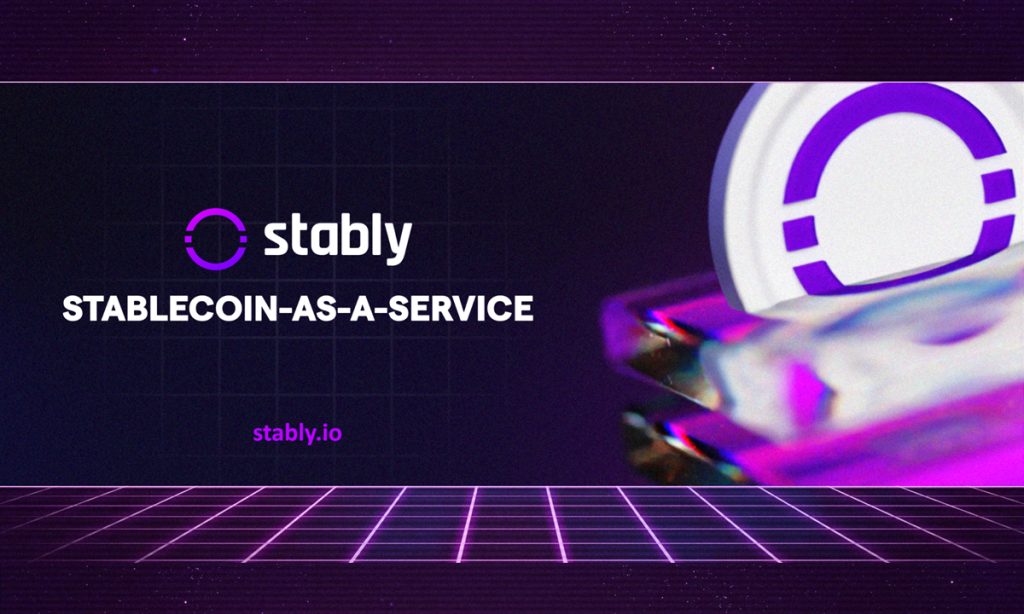 Stably Introduces Stablecoin Growth & Advisory Providers For Establishments & Enterprises
