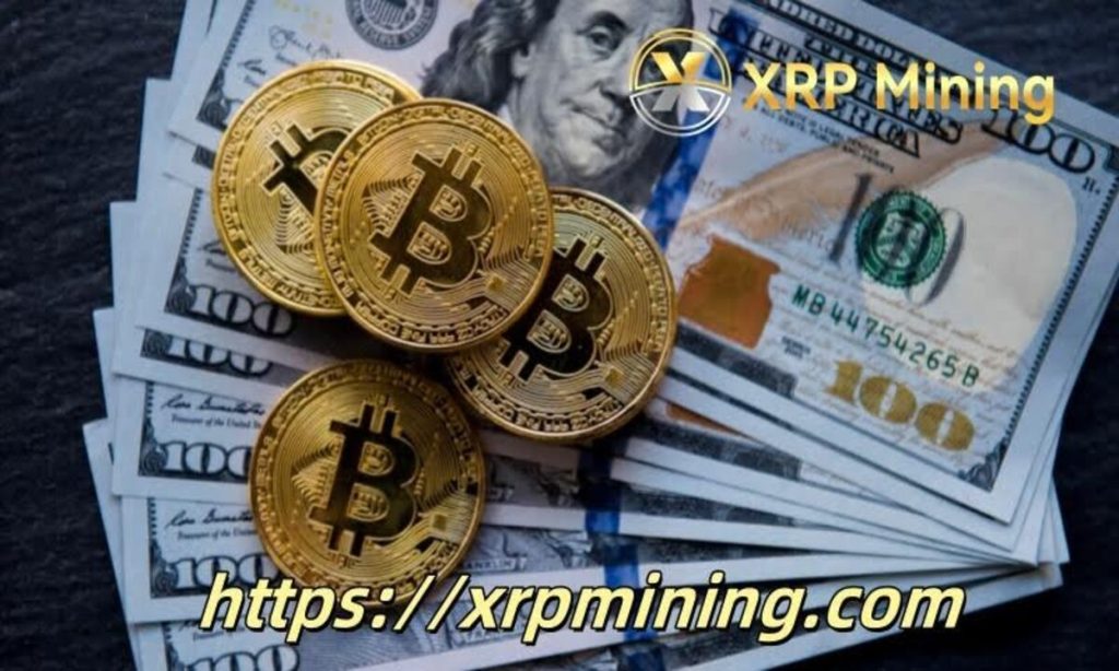 $14,600 In 7 Days With Cloud Mining? This Bitcoin Holder Exhibits You How